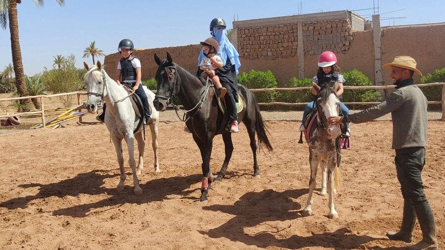 Marrakech: Desert and Palmeraie Horse Riding Tour & Transfer - What to know before you book