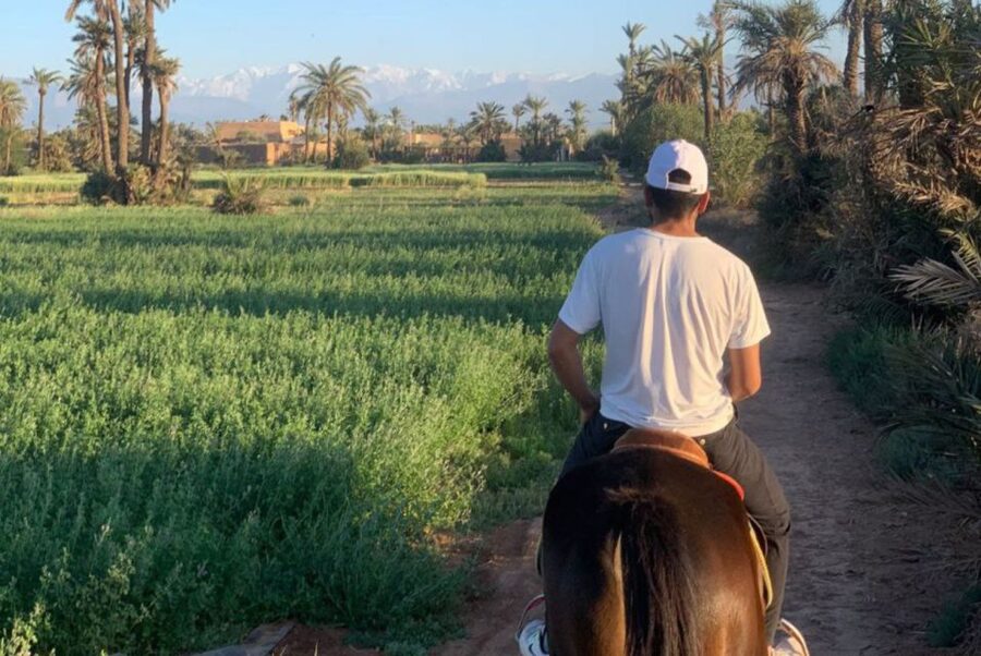 Marrakech: Desert and Palmeraie Horse Riding Tour & Transfer - Riding among palms, fields, and villages