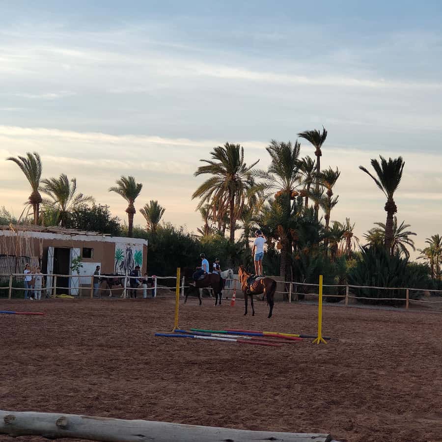 Marrakech: Desert and Palmeraie Horse Riding Tour & Transfer - Language, guides, and rider confidence