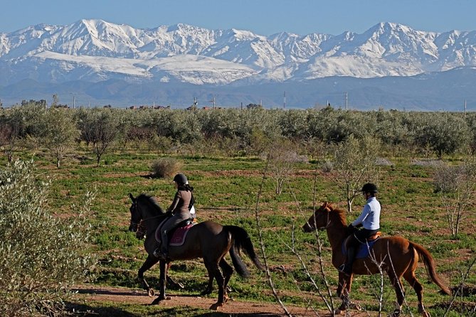 Marrakech Horse Riding - Key points to know before you book