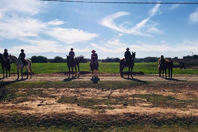 Marrakech Horse Riding - Communication with the guide
