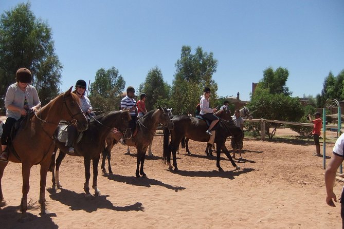 Marrakech Horse Riding - Mint tea after the saddle