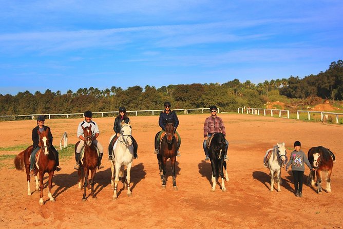 Marrakech Horse Riding - Choosing a horse for your riding level