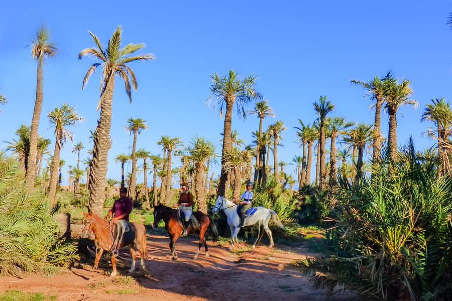 Marrakech: Palm Grove Horseback Riding Tour - Key points to know before booking