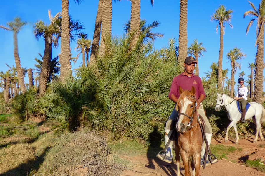 Marrakech: Palm Grove Horseback Riding Tour - What the riding is like for beginners