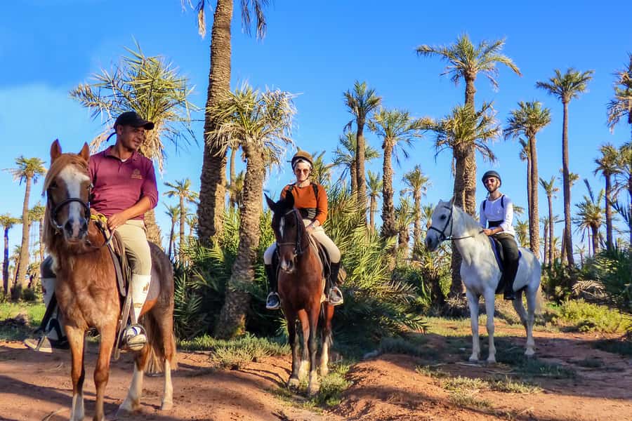 Marrakech: Palm Grove Horseback Riding Tour - Riding among the palms