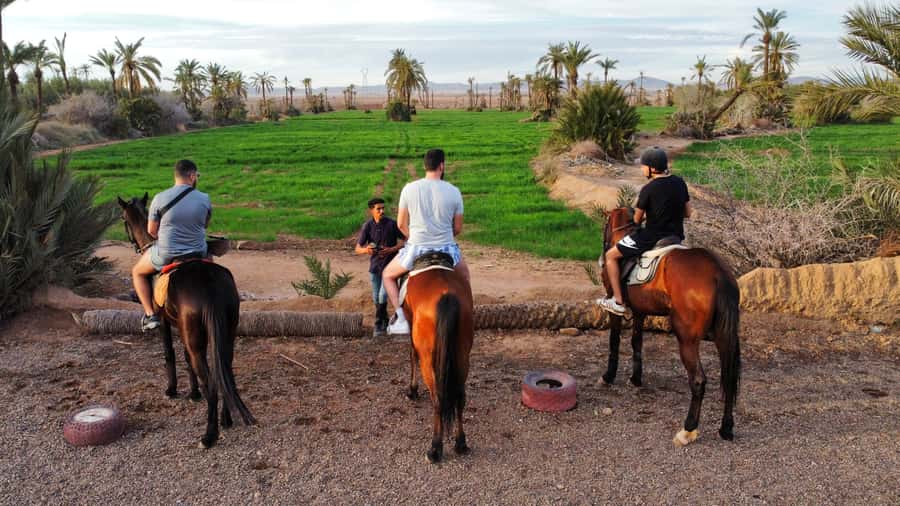 Marrakech: Private Horseback Tour in the Palm Grove with Tea - Why the Palmeraie makes a good riding setting