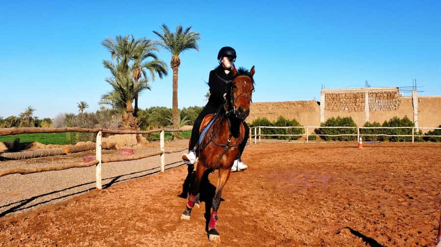 Marrakech: Private Horseback Tour in the Palm Grove with Tea - The 25-minute transfer from Marrakech