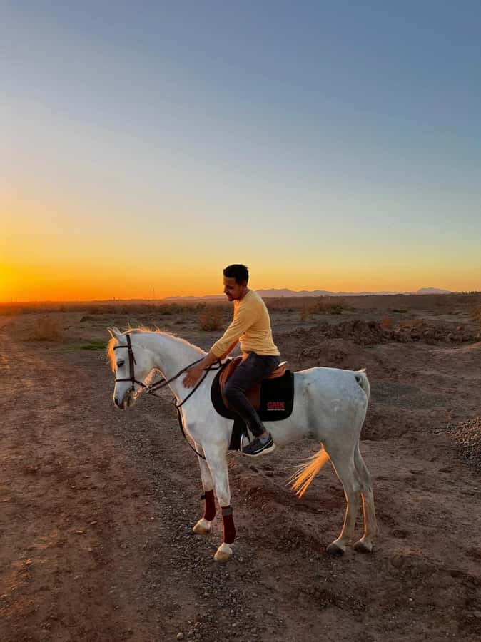 Marrakech: Private Horseback Tour in the Palm Grove with Tea - About an hour through palms and olive trees