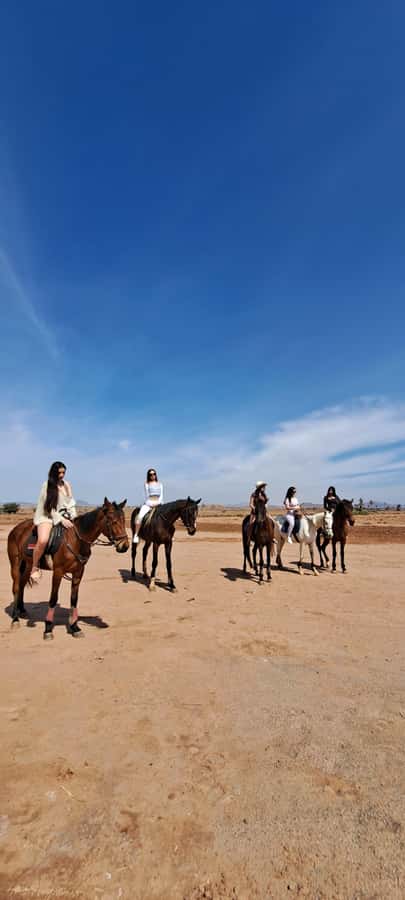 Marrakech: Private Horseback Tour in the Palm Grove with Tea - How beginner-friendly is it?