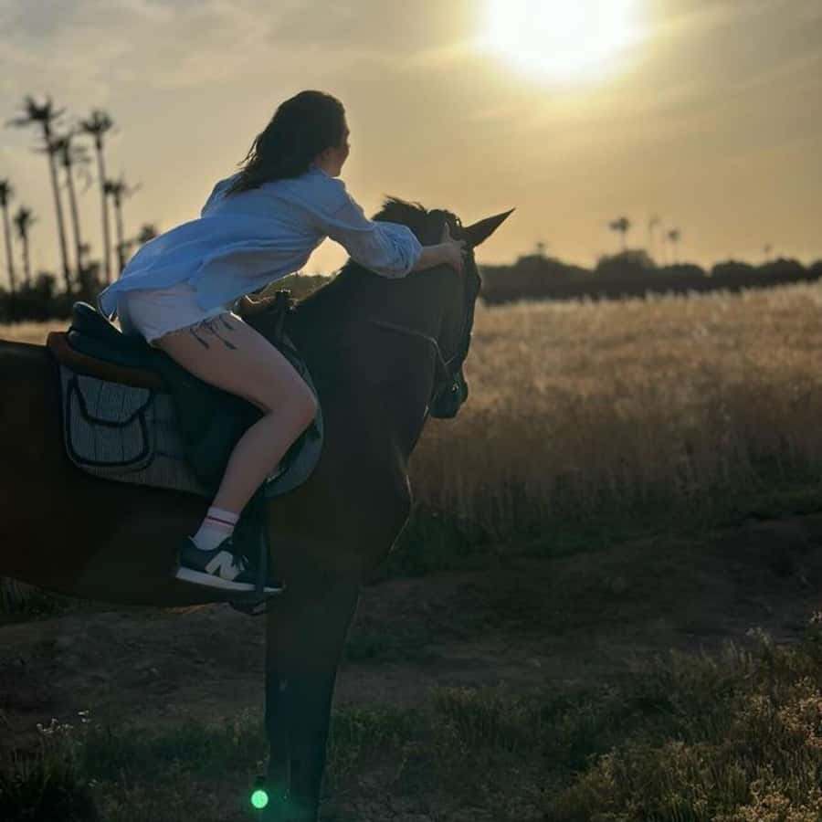 Marrakech: Private Horseback Tour in the Palm Grove with Tea - Are the horses well cared for?