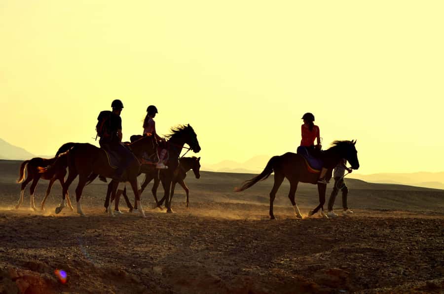 Marsa Alam: Sea and Desert Horse Riding Tour - From Marsa Alam’s Desert Trails to the Red Sea