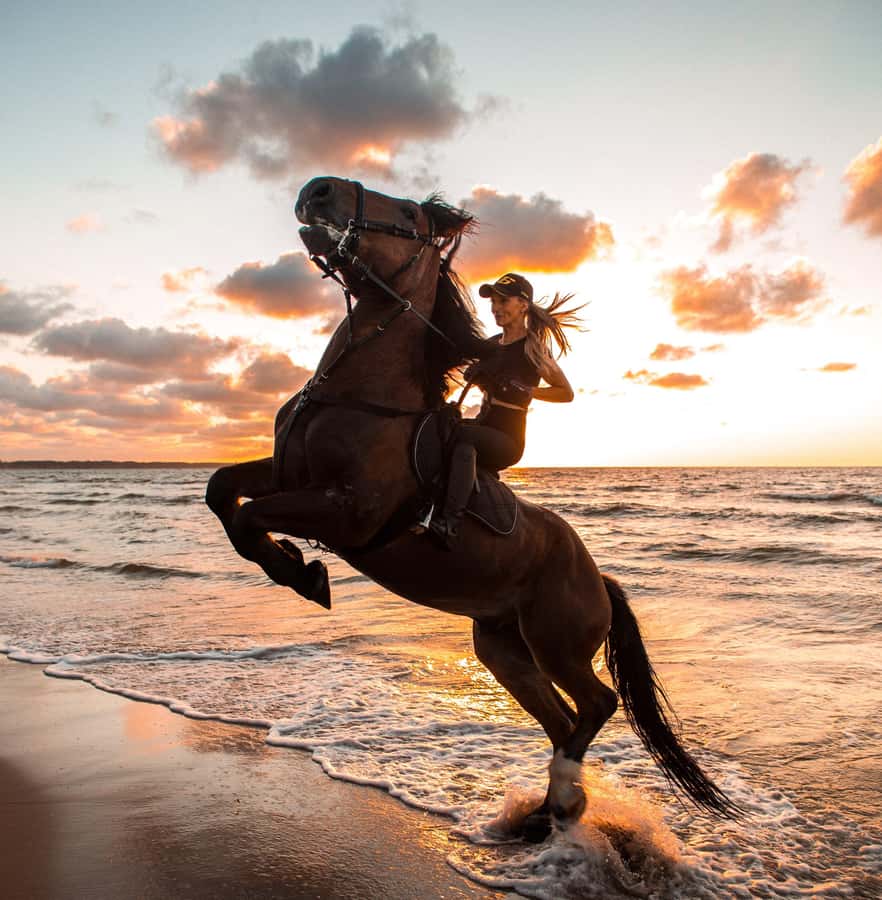 Marsa Alam: Sea and Desert Horse Riding Tour - Choosing Two Hours or Four Hours With a Sea Swim
