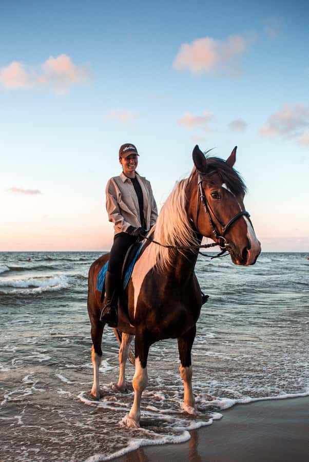 Marsa Alam: Sea and Desert Horse Riding Tour - How the Horses and Guides Shape the Experience
