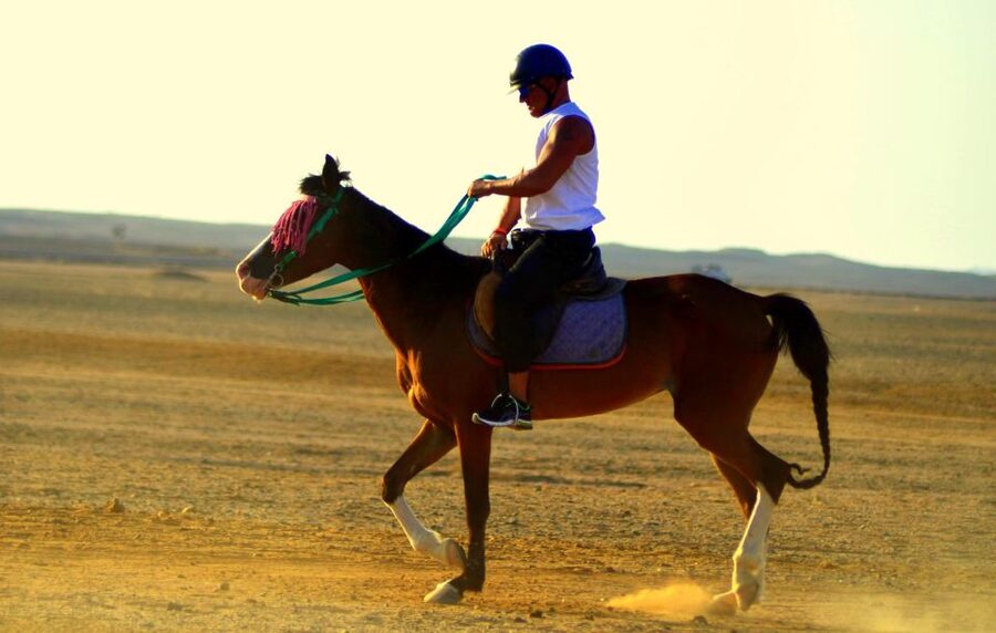 Marsa Alam: Sea and Desert Horse Riding Tour - Is $33 Good Value for Marsa Alam?