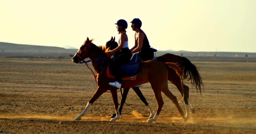 Marsa Alam: Sea and Desert Horse Riding Tour - Sunrise, Afternoon, or Sunset: Picking the Right Time