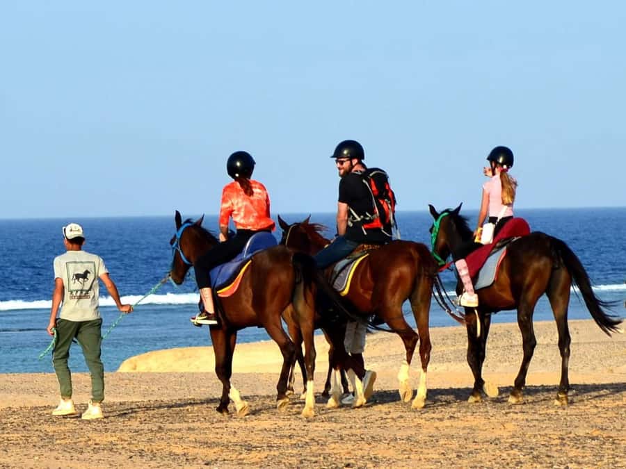 Marsa Alam: Sunrise Horseback with Breakfast - What the breakfast really adds