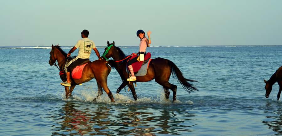 Marsa Alam: Sunrise Horseback with Breakfast - Transfers from Marsa Alam’s resort areas