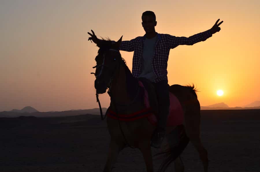 Marsa Alam: Sunset Horseback with Dinner, Show & Stargazing - The VIP four-hour ride and horse swim
