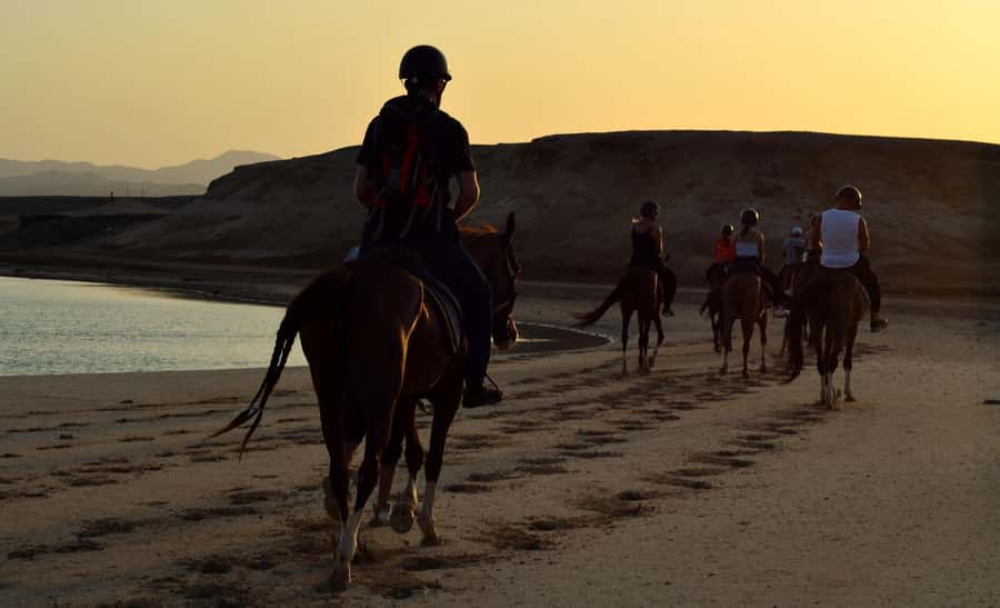 Marsa Alam: Sunset Horseback with Dinner, Show & Stargazing - Packing for sun, sand, and salt water