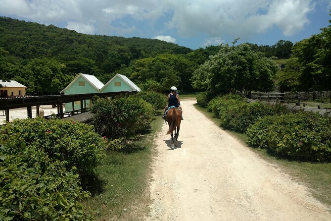 Martha Brae Rafting, Horseback Riding and Luminous Lagoon - Triple Treat - Martha Brae rafting over three miles