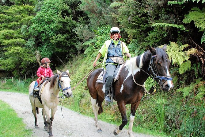 Matakana Art & Horse Riding Experience Private Tour From Auckland - Leaving Auckland at 8:30 am