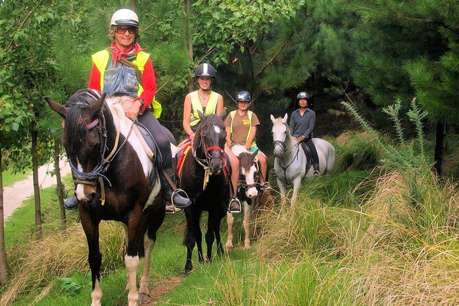 Matakana Art & Horse Riding Experience Private Tour From Auckland - Chocolate Brown adds a sweet pause