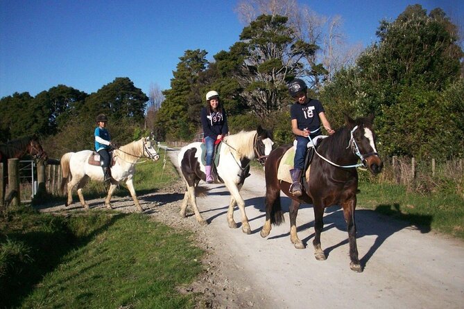 Matakana Art & Horse Riding Experience Private Tour From Auckland - Gelato at Charlie’s