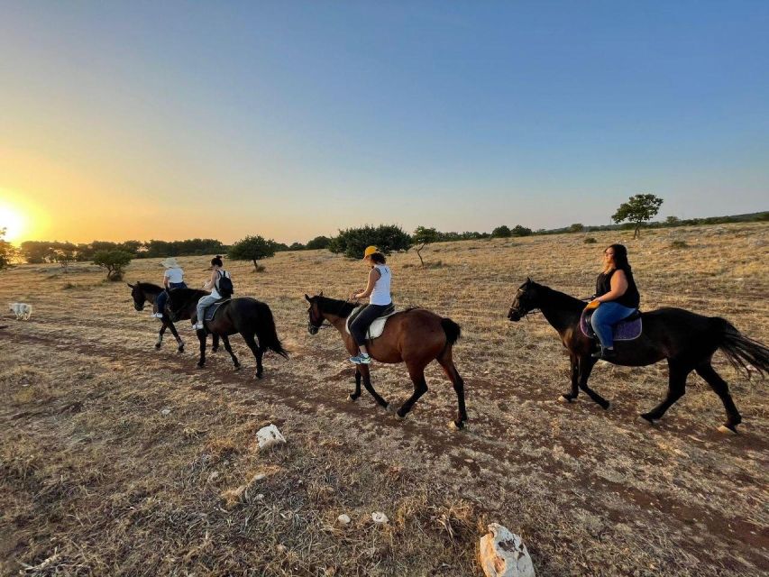 Matera: sunset horseback riding tour on Murgia - Key points to know before you book