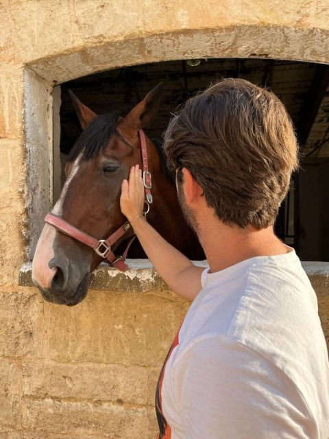 Matera: sunset horseback riding tour on Murgia - Through the Parata Forest as evening arrives