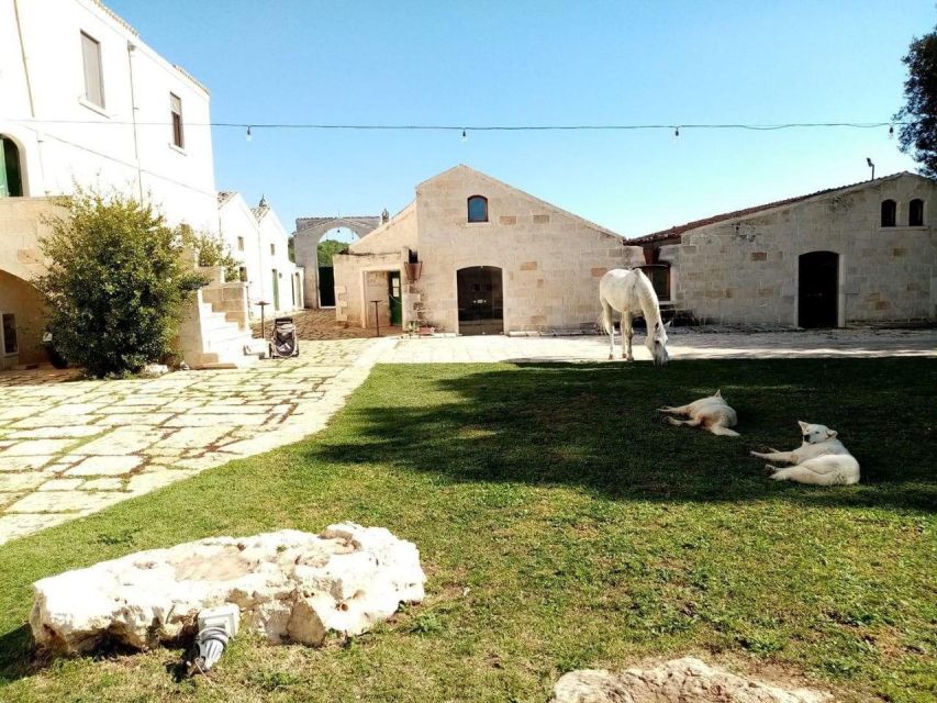 Matera: sunset horseback riding tour on Murgia - The practical shape of the two hours