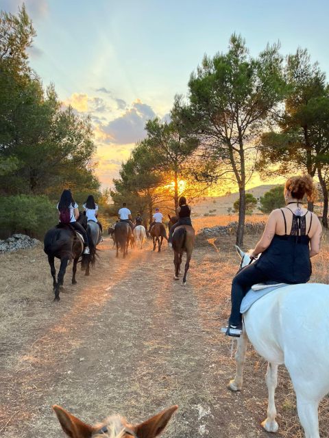 Matera: sunset horseback riding tour on Murgia - The first paths through the Murgia