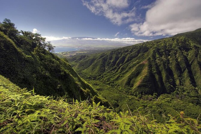 Maui Horseback Adventure at Circle M Ranch With Real Cowboys - A working Maui ranch, not a polished resort activity