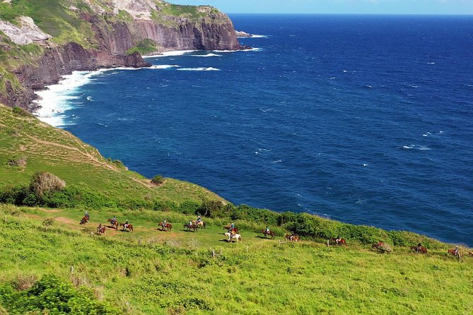 Maui Horseback Adventure at Circle M Ranch With Real Cowboys - The first 45 minutes: briefing, horses, and finding your balance