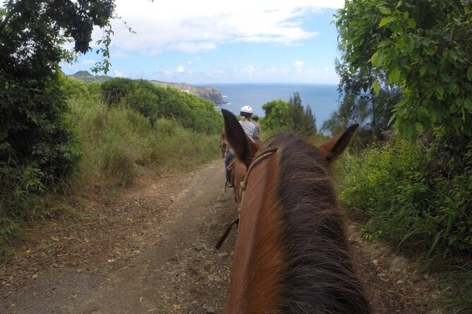 Maui Horseback Adventure at Circle M Ranch With Real Cowboys - What experienced riders should expect