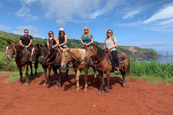 Maui Horseback Adventure at Circle M Ranch With Real Cowboys - Is Circle M Ranch worth $185.20?