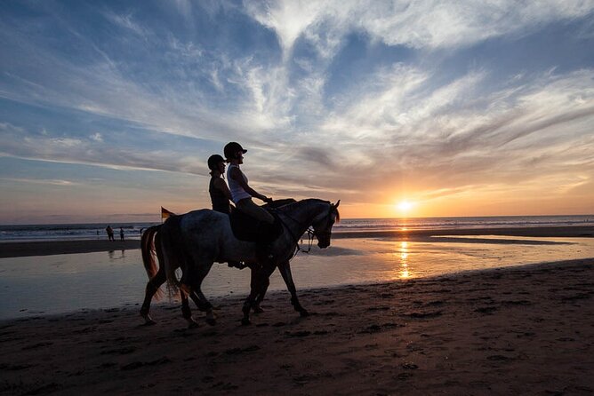 Mauritius Horse Riding at Riambel - What happens from arrival to the first steps on the sand