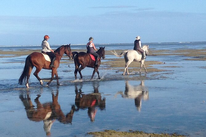 Mauritius Horse Riding at Riambel - How suitable is it for beginners?