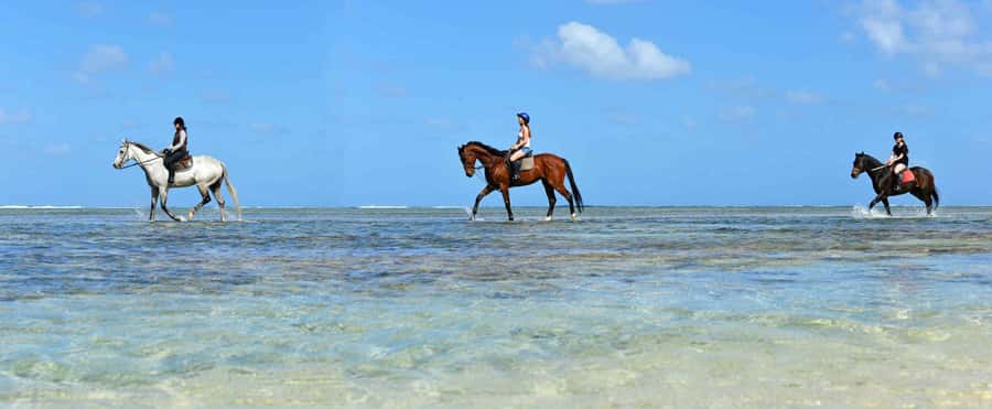Mauritius: Horse riding on the deserted beach of Riambel - Choosing a sunset ride