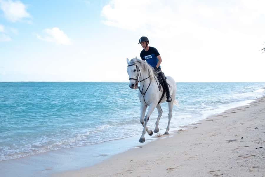 Mauritius: Horse riding on the deserted beach of Riambel - Walking the empty beach
