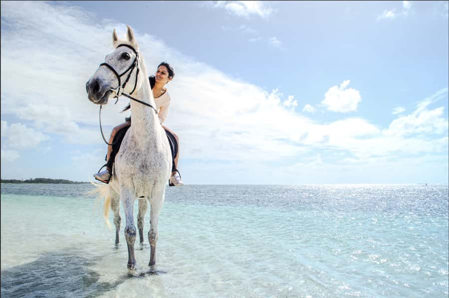 Mauritius: Horseback riding on the beach - Belle Mare Beach, seen from horseback