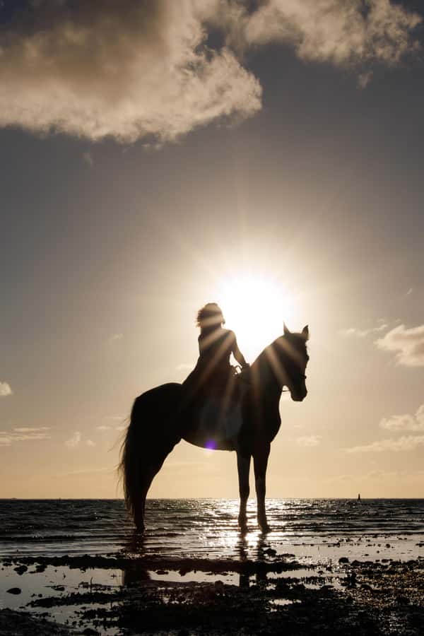 Mauritius: Horseback riding on the beach - The weight limit is not clear enough