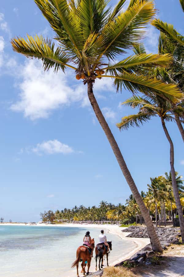 Mauritius: Horseback riding on the beach - Is $110 a fair price for one hour?