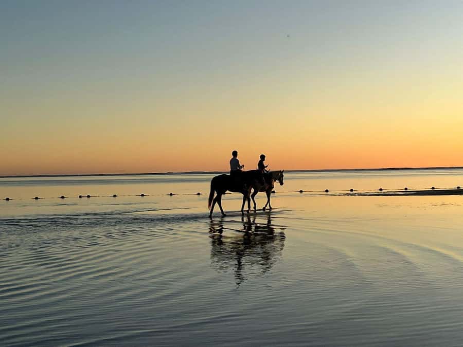 Mauritius: Horseback riding on the beach - Meeting the horses at the sanctuary