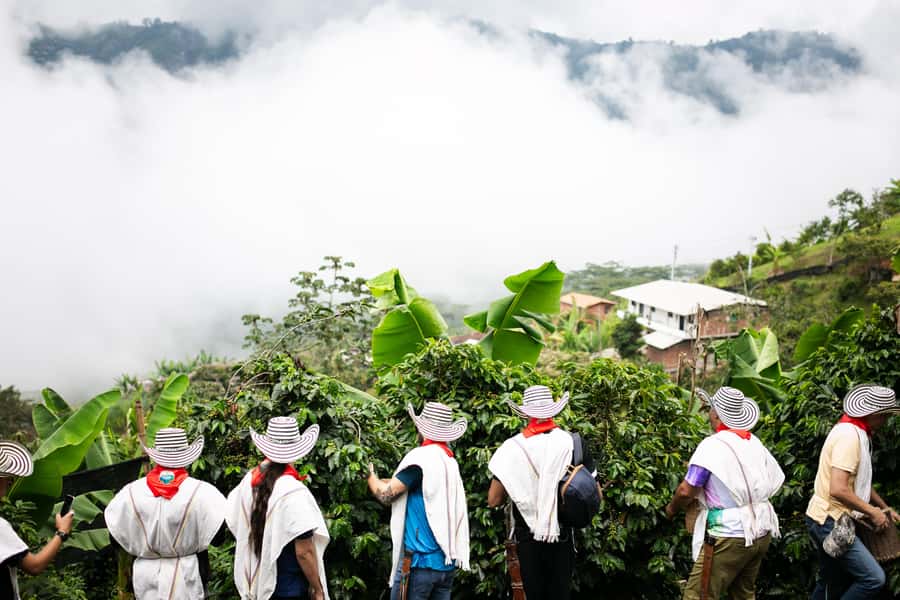 Medellin: Coffee Tour, Horseback Arrival, and Sugar Cane - What to bring for comfort
