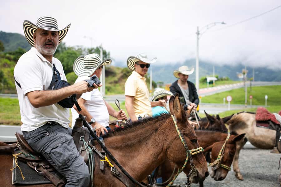 Medellin: Coffee Tour, Horseback Arrival, and Sugar Cane - Coffee from seed to small tasting cup