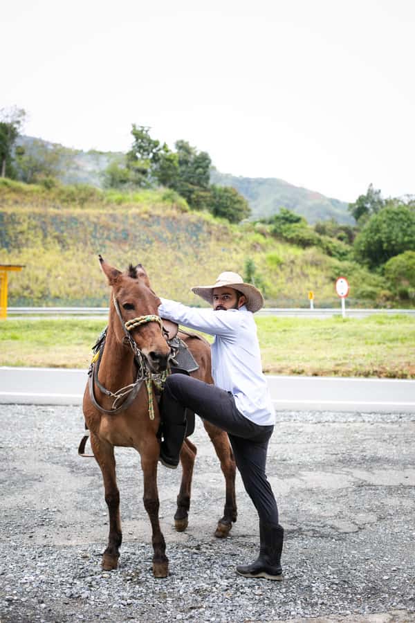 Medellin: Coffee Tour, Horseback Arrival, and Sugar Cane - A family farm, not a staged coffee show