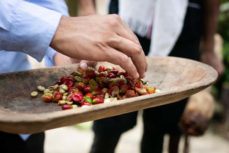 Medellin: Coffee Tour, Horseback Arrival, and Sugar Cane - How the six hours are used
