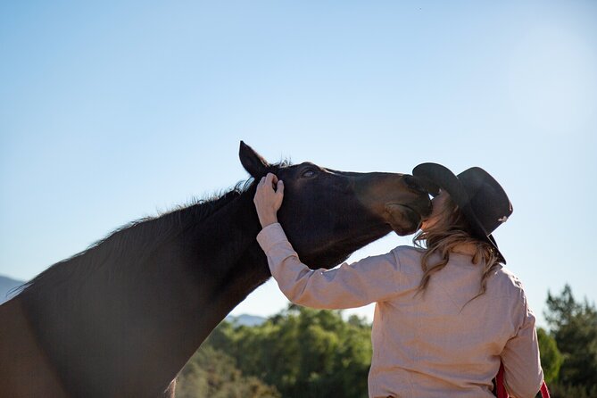 Medellin: Horseback Riding Adventure In Nature (Don't Overpay) - Meeting the horses at the ranch