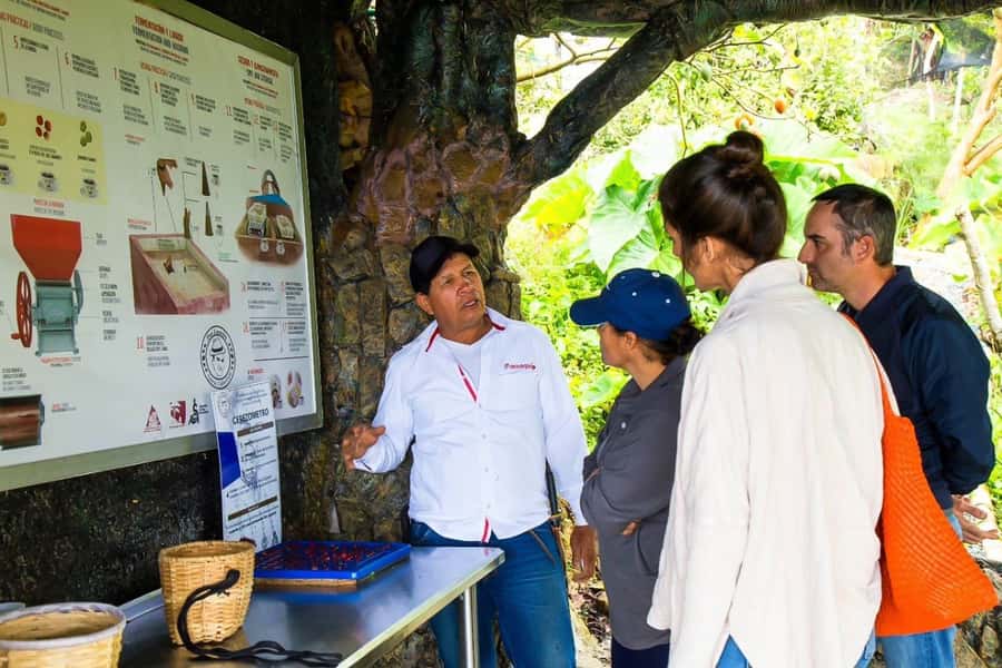 Medellin: Horseback Riding Coffee Farm Tour with Coffee Spa - Should you book the Don Leandro coffee spa tour?